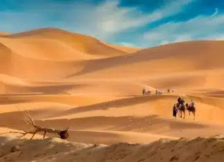 Voyage pas cher : top 5 des îles paradisiaques à visiter en été