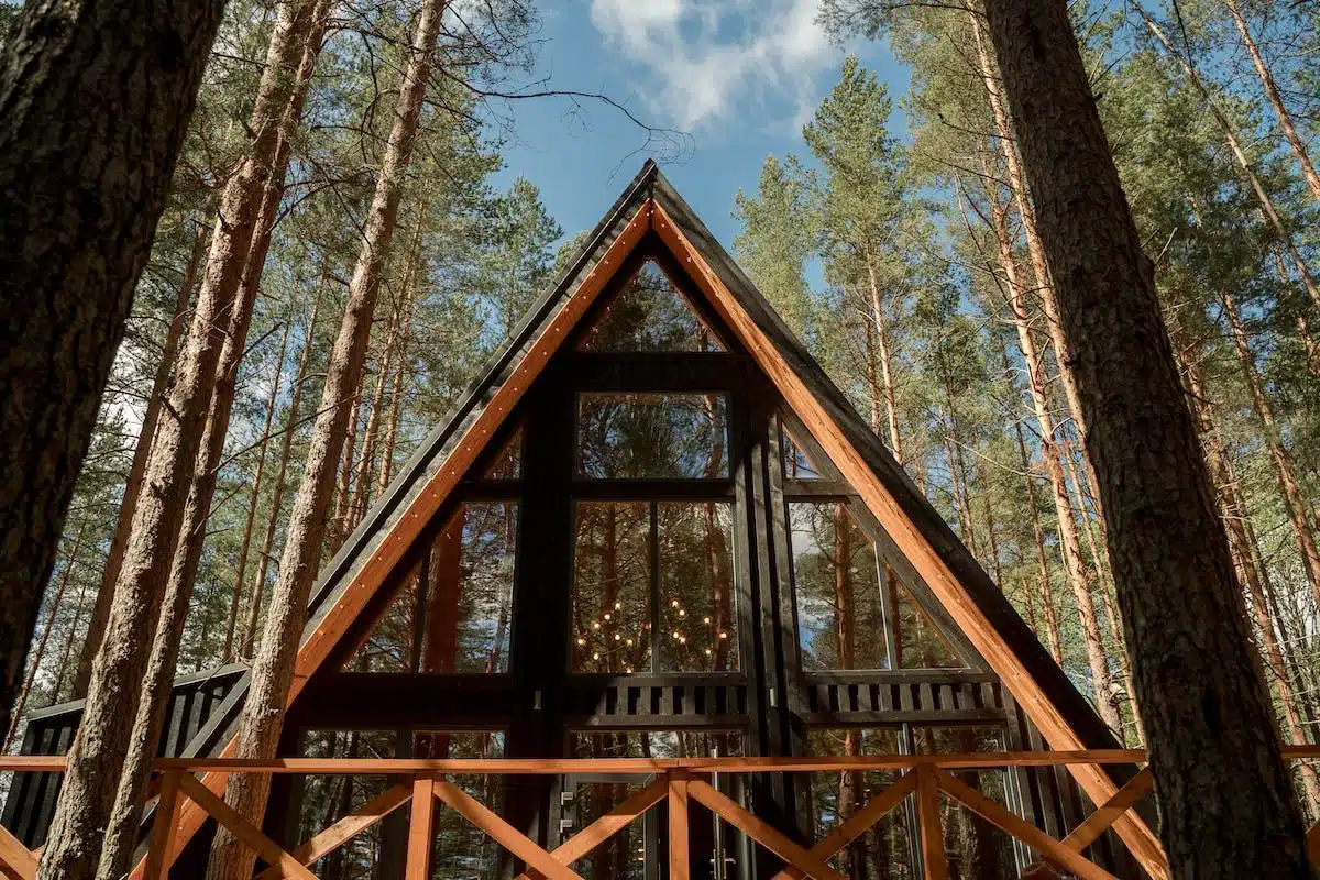 cabane  forêt