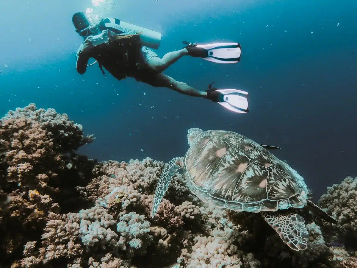 plongée sous-marine