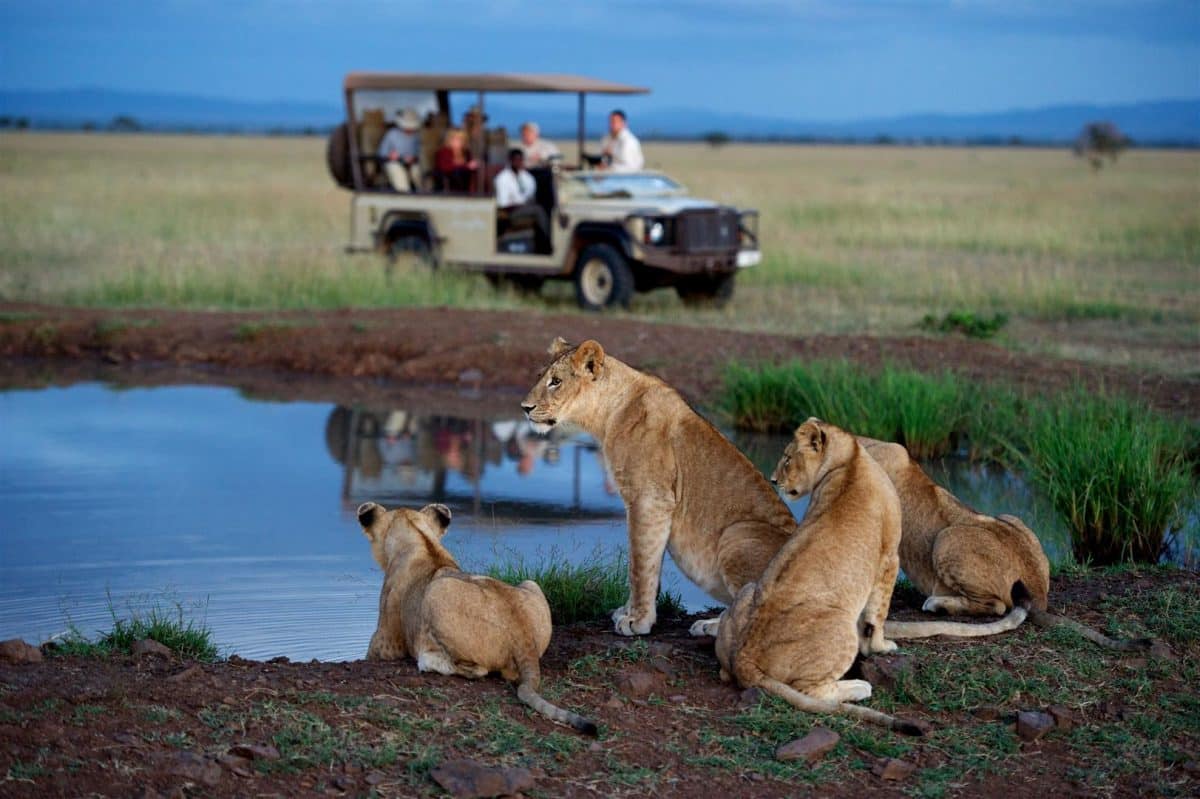 Quoi mettre dans sa valise pour un safari au Botswana