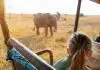 Quoi mettre dans sa valise pour un safari au Botswana