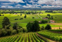 Découvrez le charme d'une escale en Bourgogne