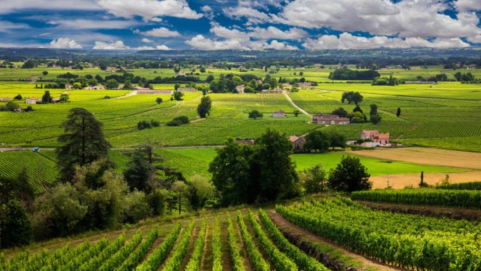 Découvrez le charme d'une escale en Bourgogne